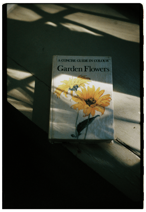 A CONCISE GUIDE IN COLOUR GARDEN FLOWERS élida c. 