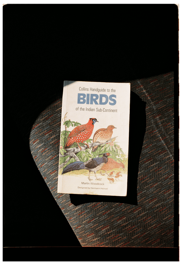 Collins Handguide to the BIRDS of the Indian Sub-Continent élida c. 