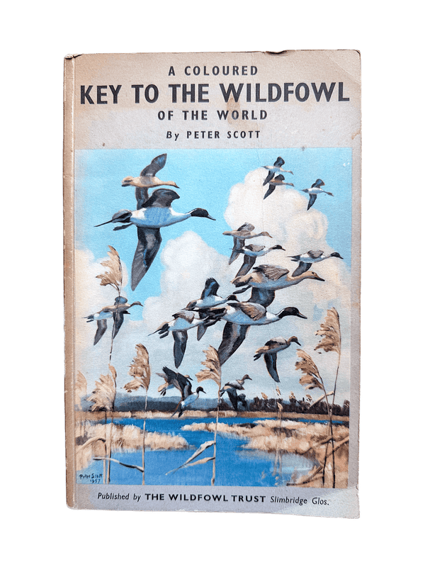 A COLOURED KEY TO THE WILDFOWL OF THE WORLD