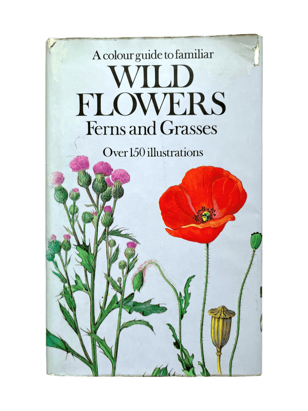 A colour guide to familiar WILD FLOWERS Ferns and Grasses élida c. 