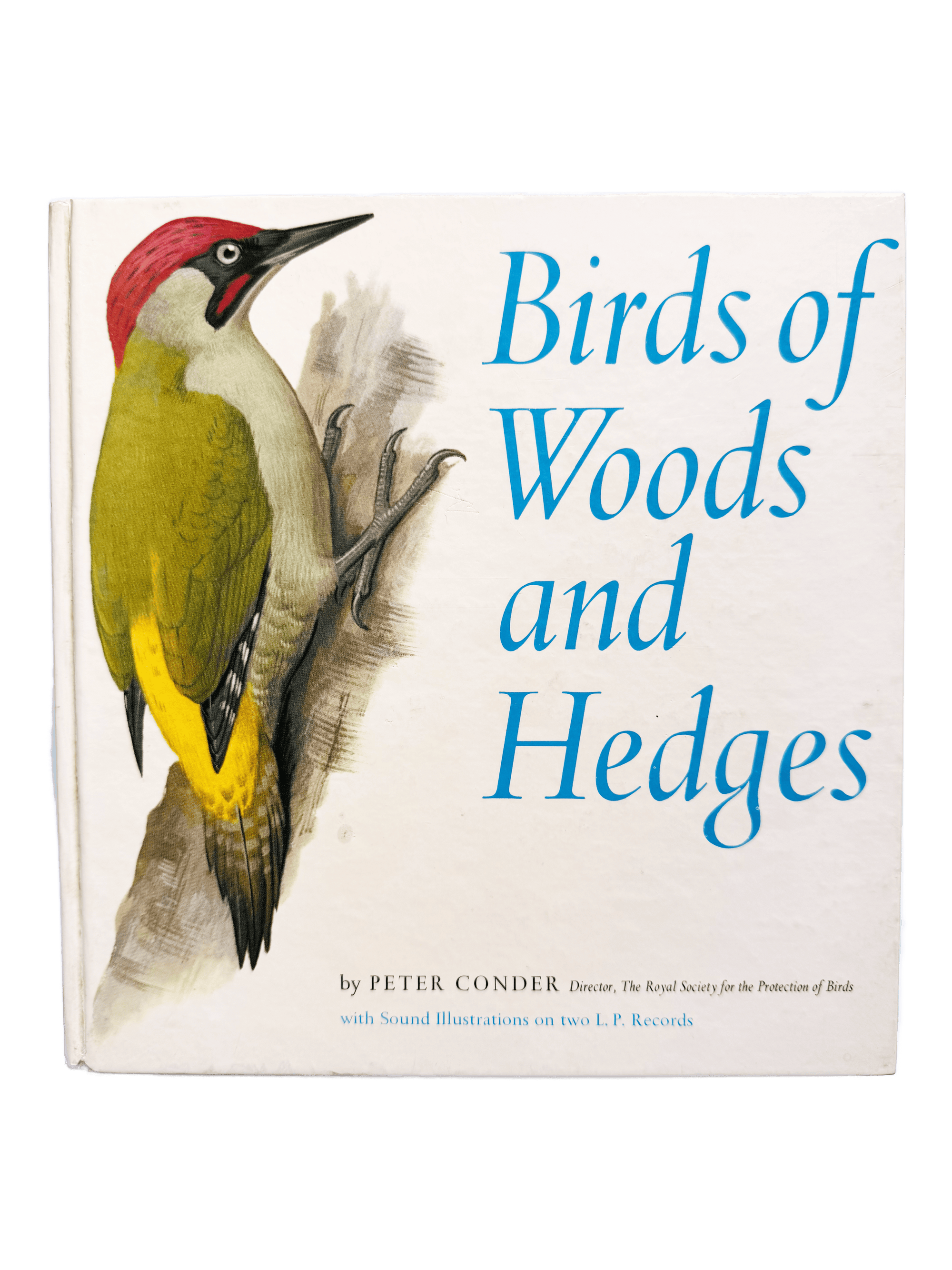 BIRDS OF WOODS AND HEDGES