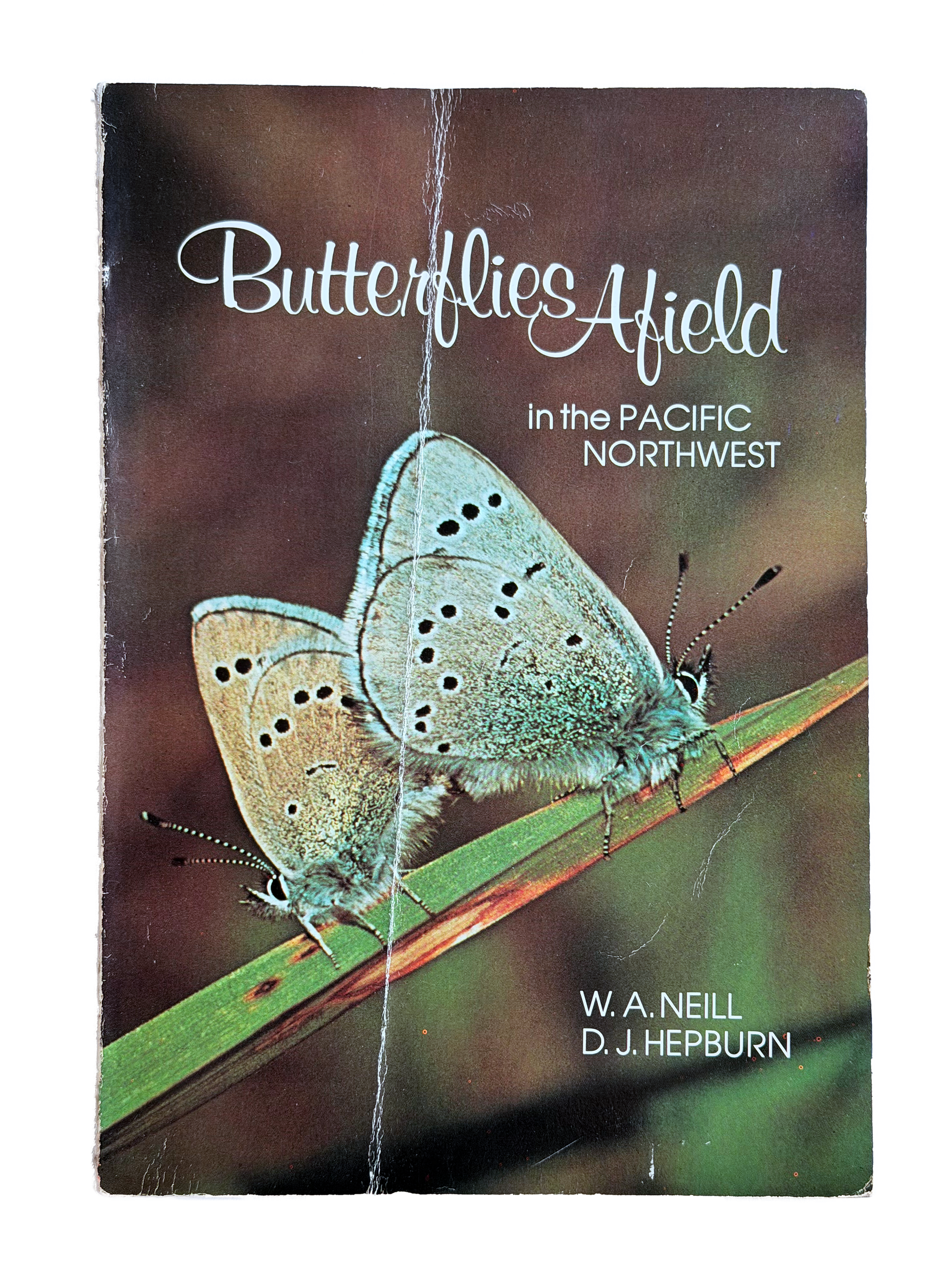 Butterflies Afield in the Pacific Northwest