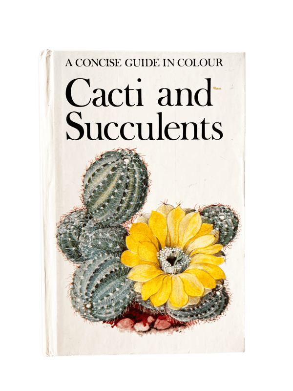 CACTI AND SUCCULENTS élida c. 