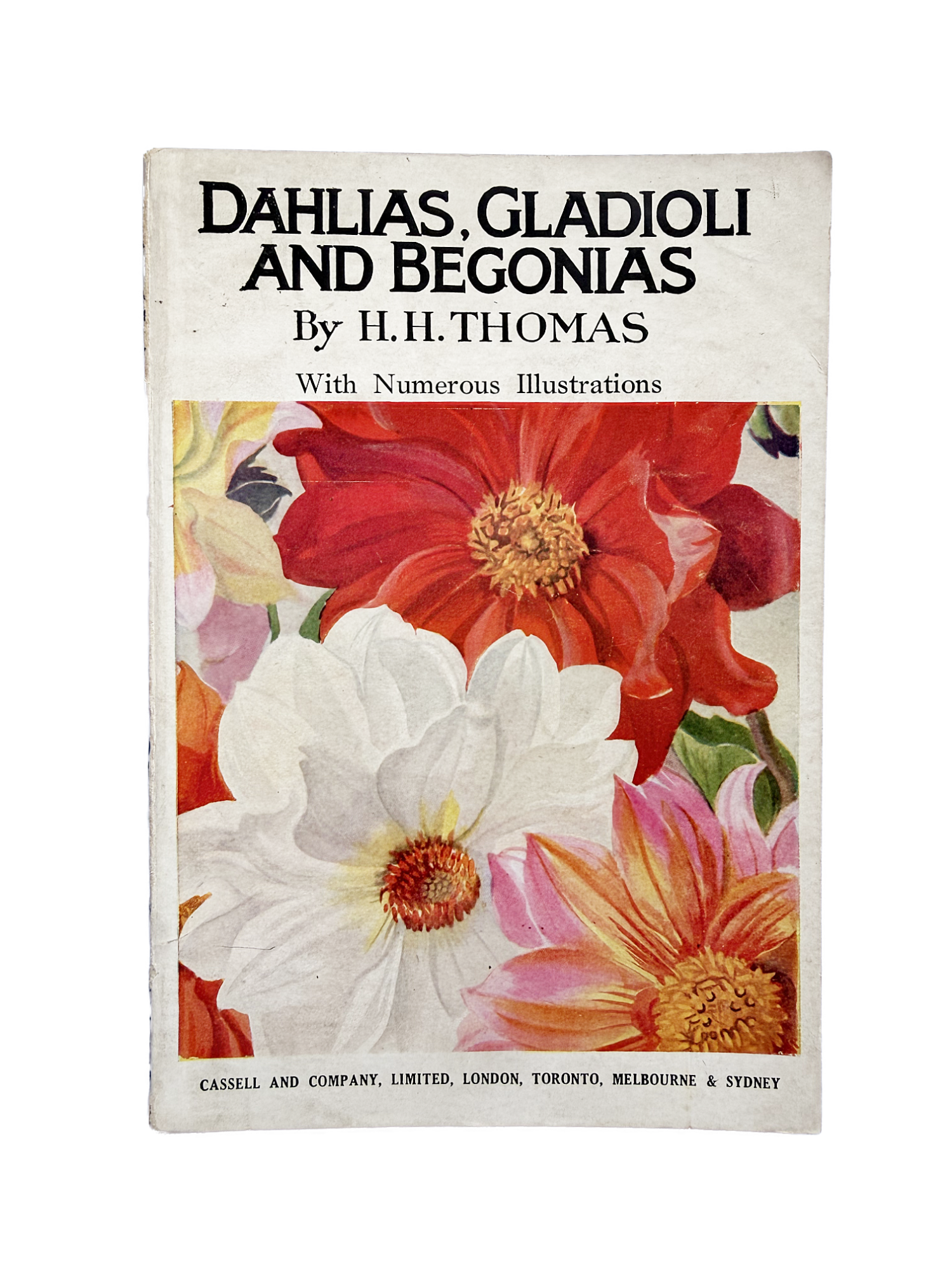 DAHLIAS, GLADIOLI AND BEGONIAS