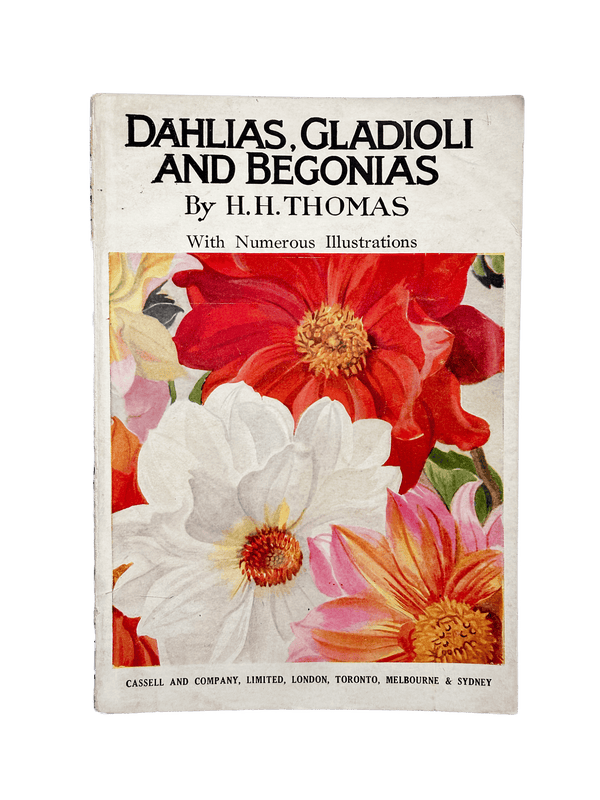 DAHLIAS, GLADIOLI AND BEGONIAS