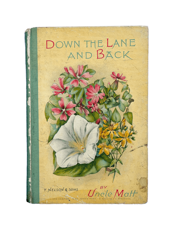 DOWN THE LANE AND BACK