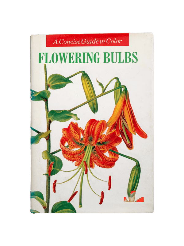 FLOWERING BULBS