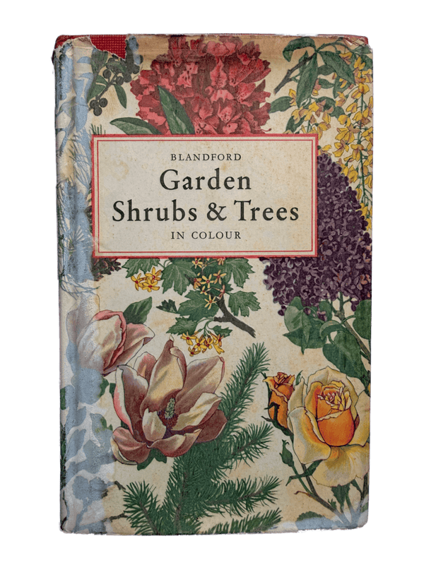 GARDEN SHRUBS & TREES