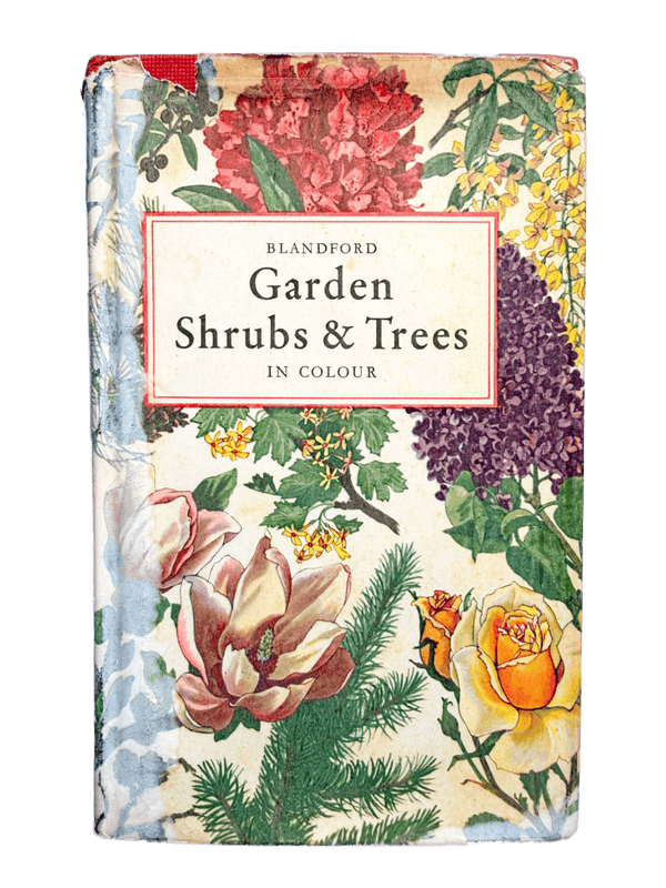 GARDEN SHRUBS & TREES