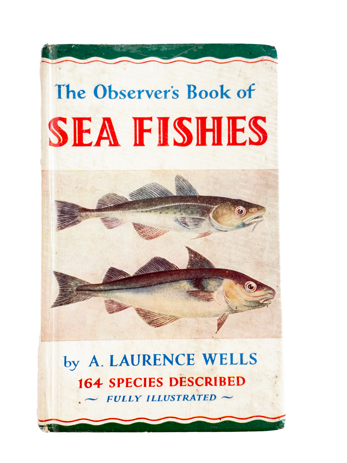 THE OBSERVERS BOOK OF SEA FISHES