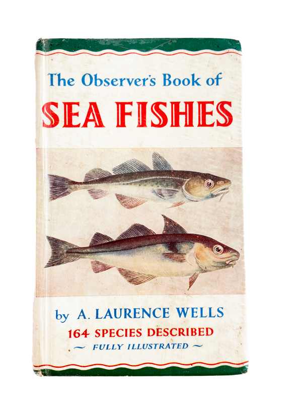 THE OBSERVERS BOOK OF SEA FISHES