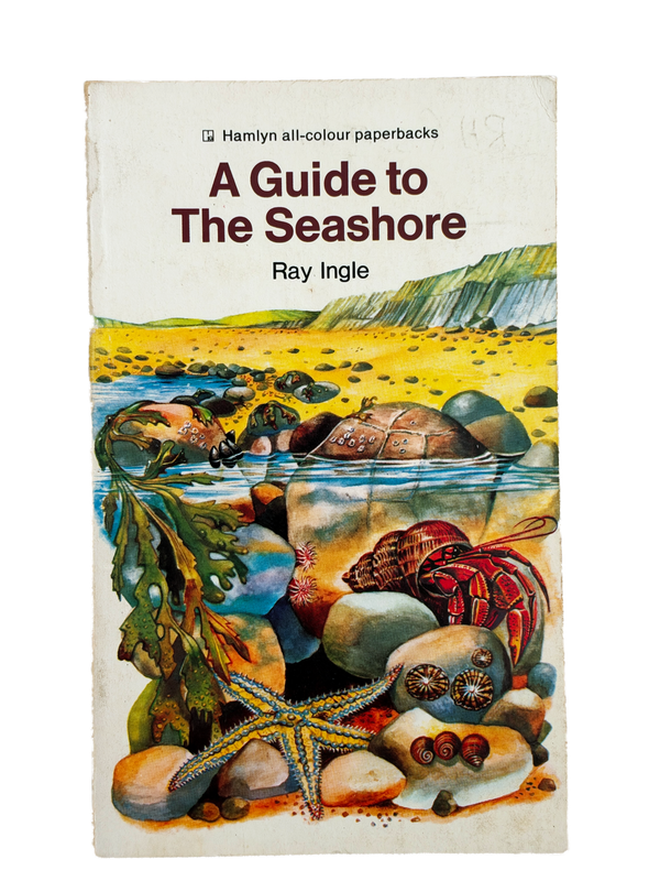 A GUIDE TO THE SEASHORE 