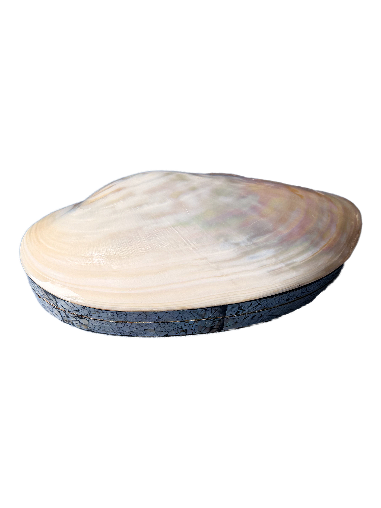 Large shell jewelry box