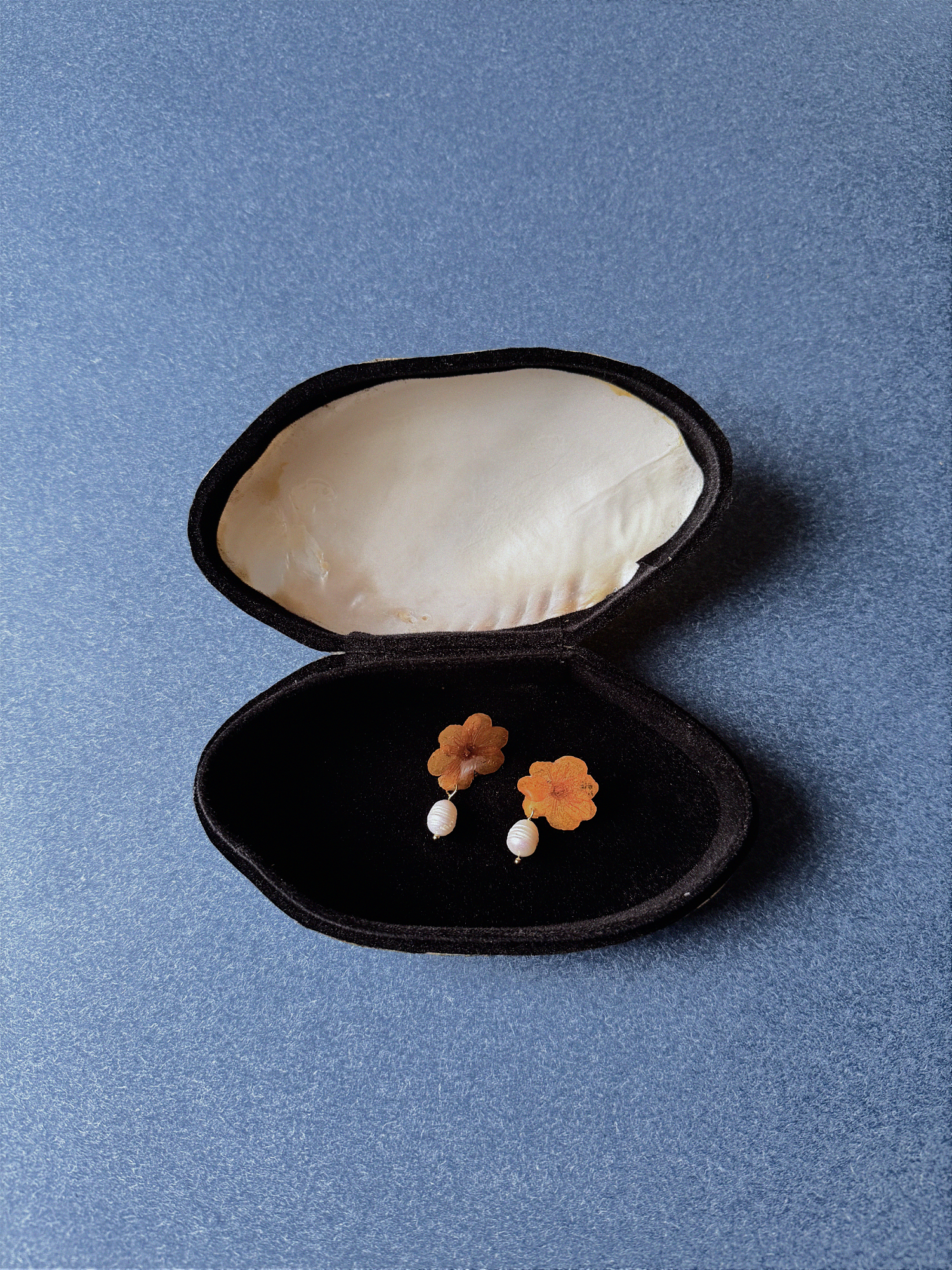 Small seashell jewelry box