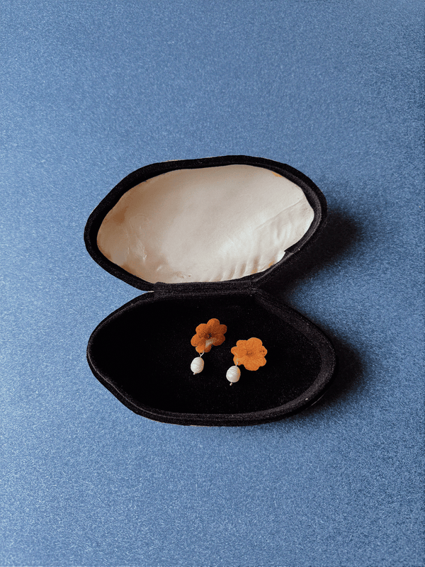 Small seashell jewelry box