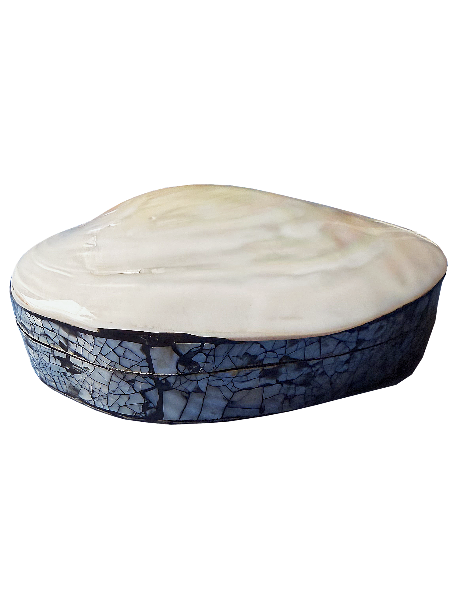 Small seashell jewelry box