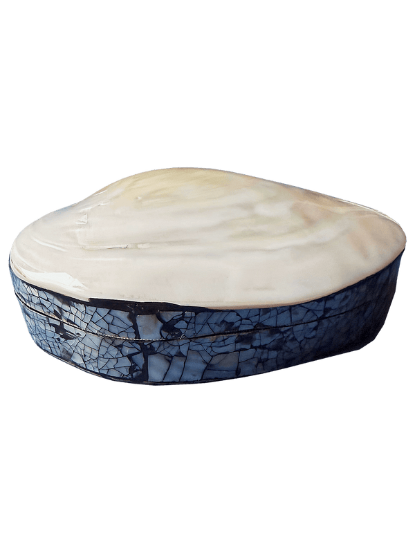 Small seashell jewelry box