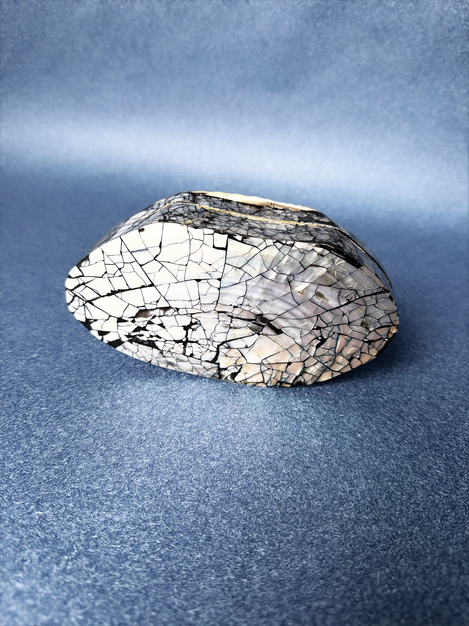 Small seashell jewelry box