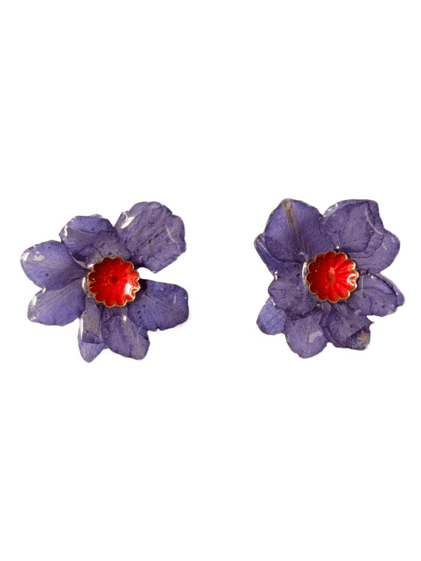 OFELIA nº101
