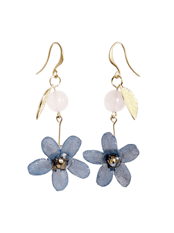 OFELIA Nº104