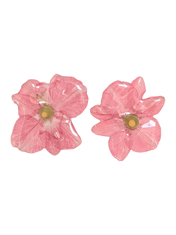 OFELIA nº105