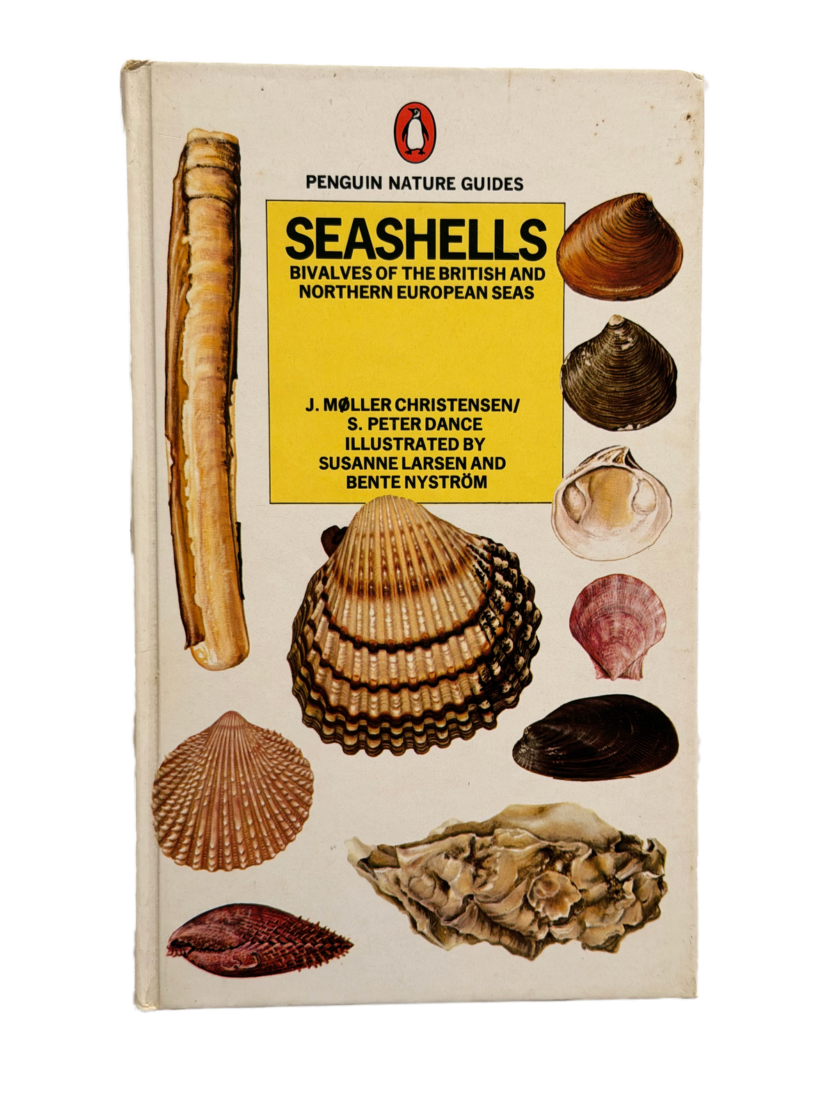 SEASHELLS, BIVALVES OF THE BRITISH AND NORTHERN EUROPEAN SEAS
