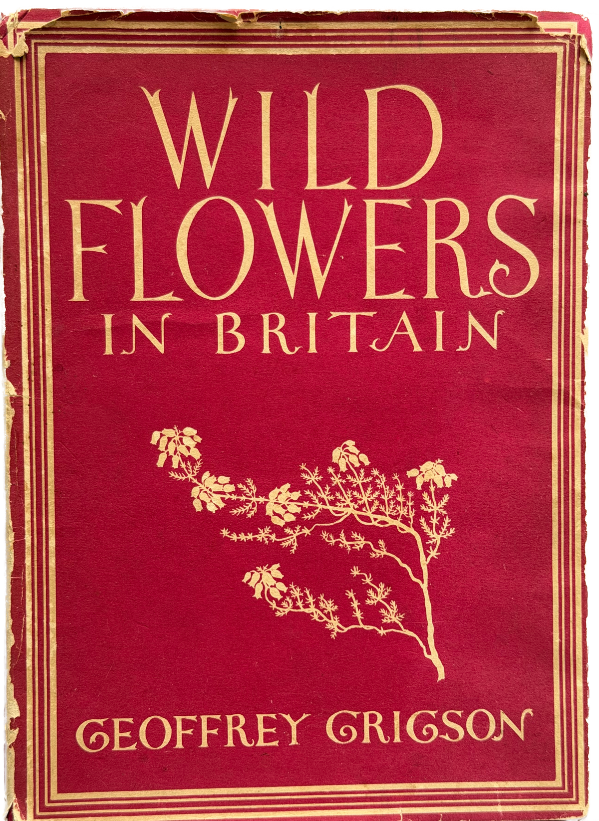 WILD FLOWERS IN BRITAIN