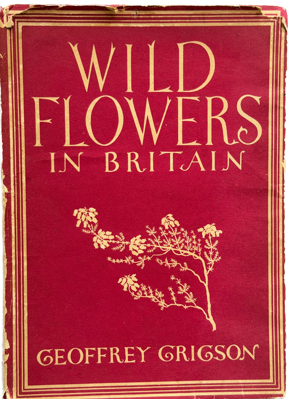 WILD FLOWERS IN BRITAIN