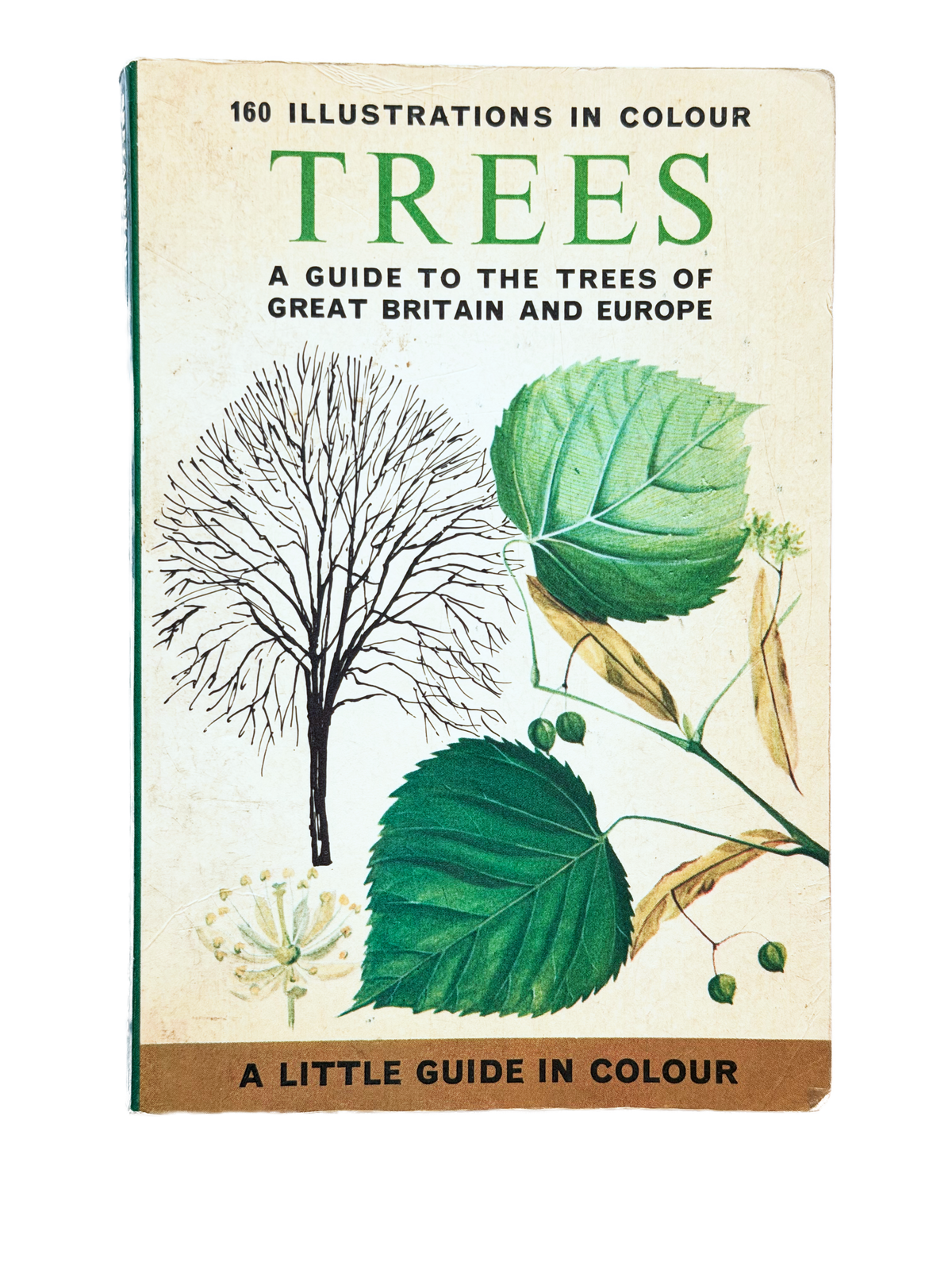 TREES, A GUIDE TO THE TREES OF GREAT BRITAIN AND EUROPE