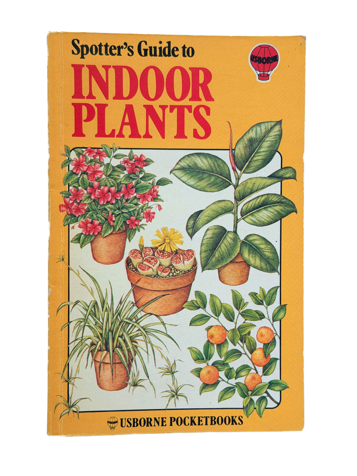 INDOOR PLANTS
