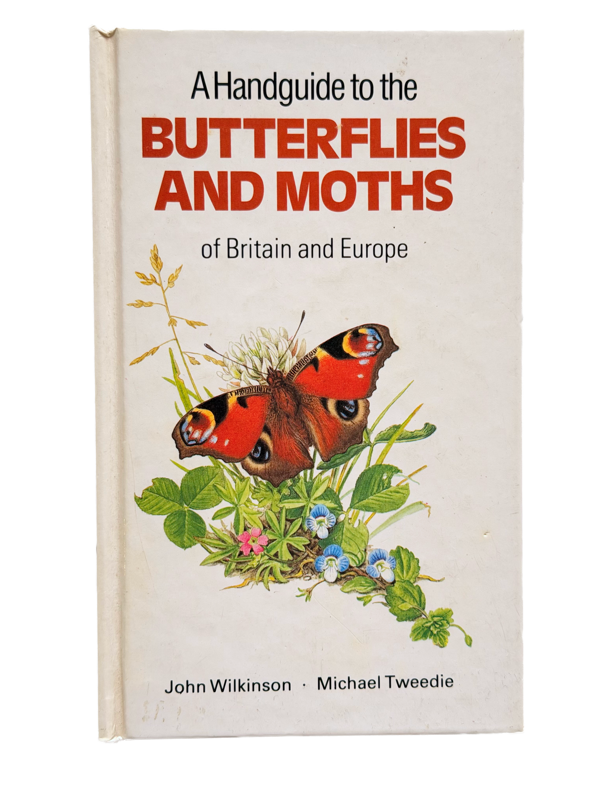 BUTTERFLIES AND MOTHS