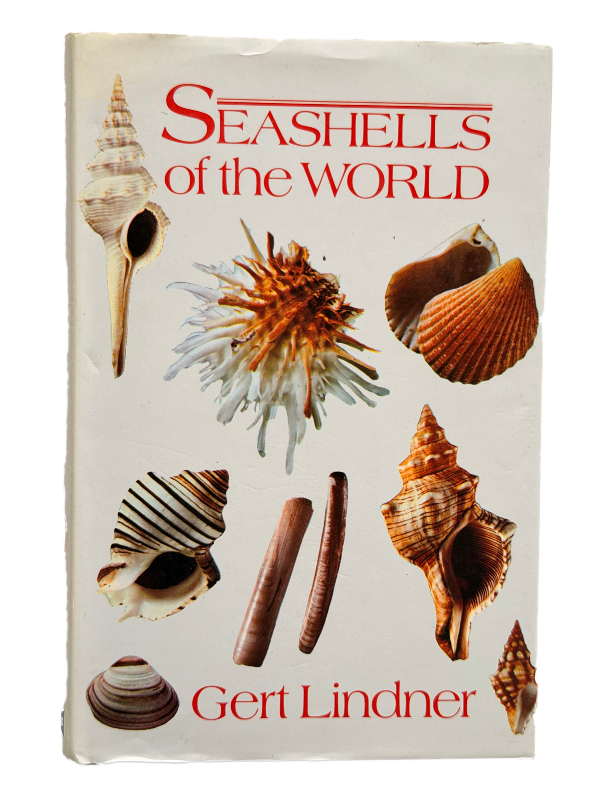 SEASHELLS OF THE WORLD