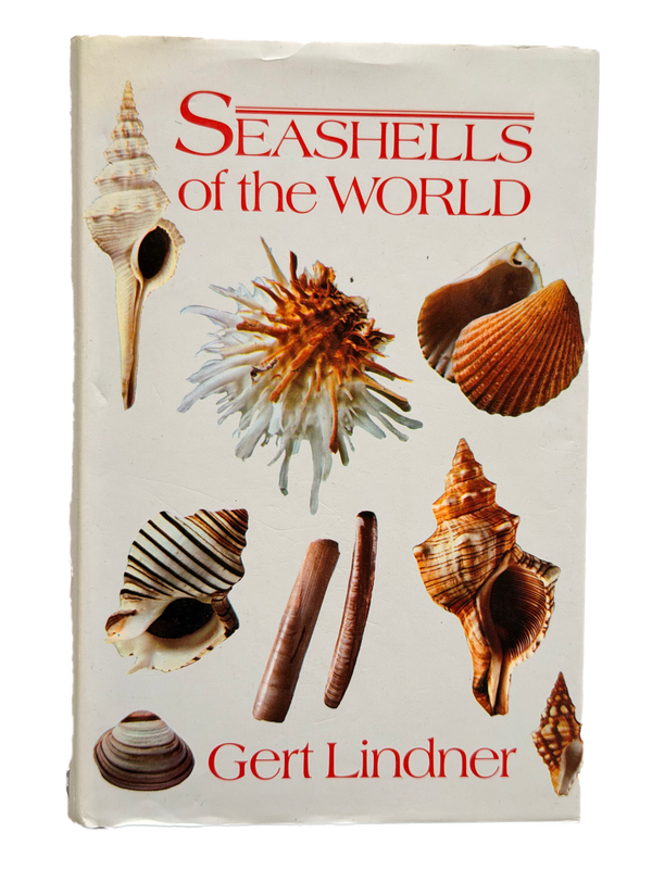 SEASHELLS OF THE WORLD