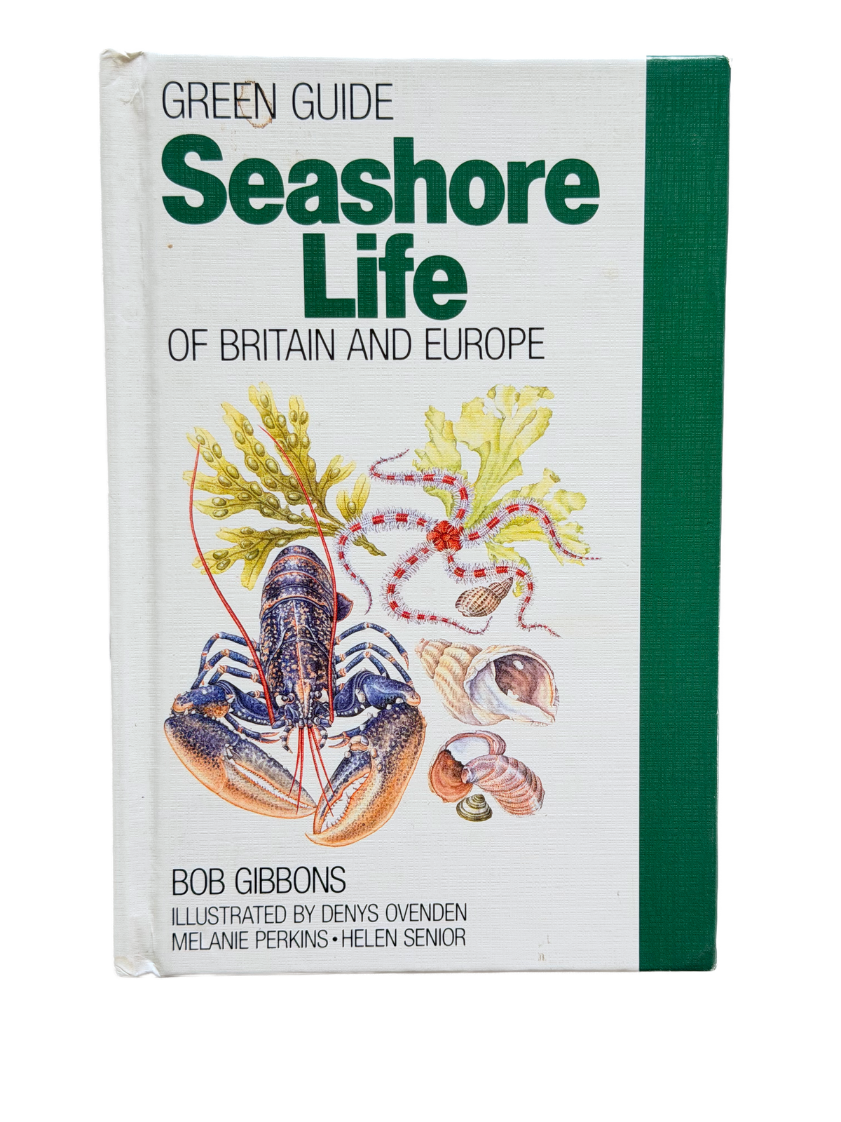 SEASHORE LIFE OF BRITAIN AND EUROPE