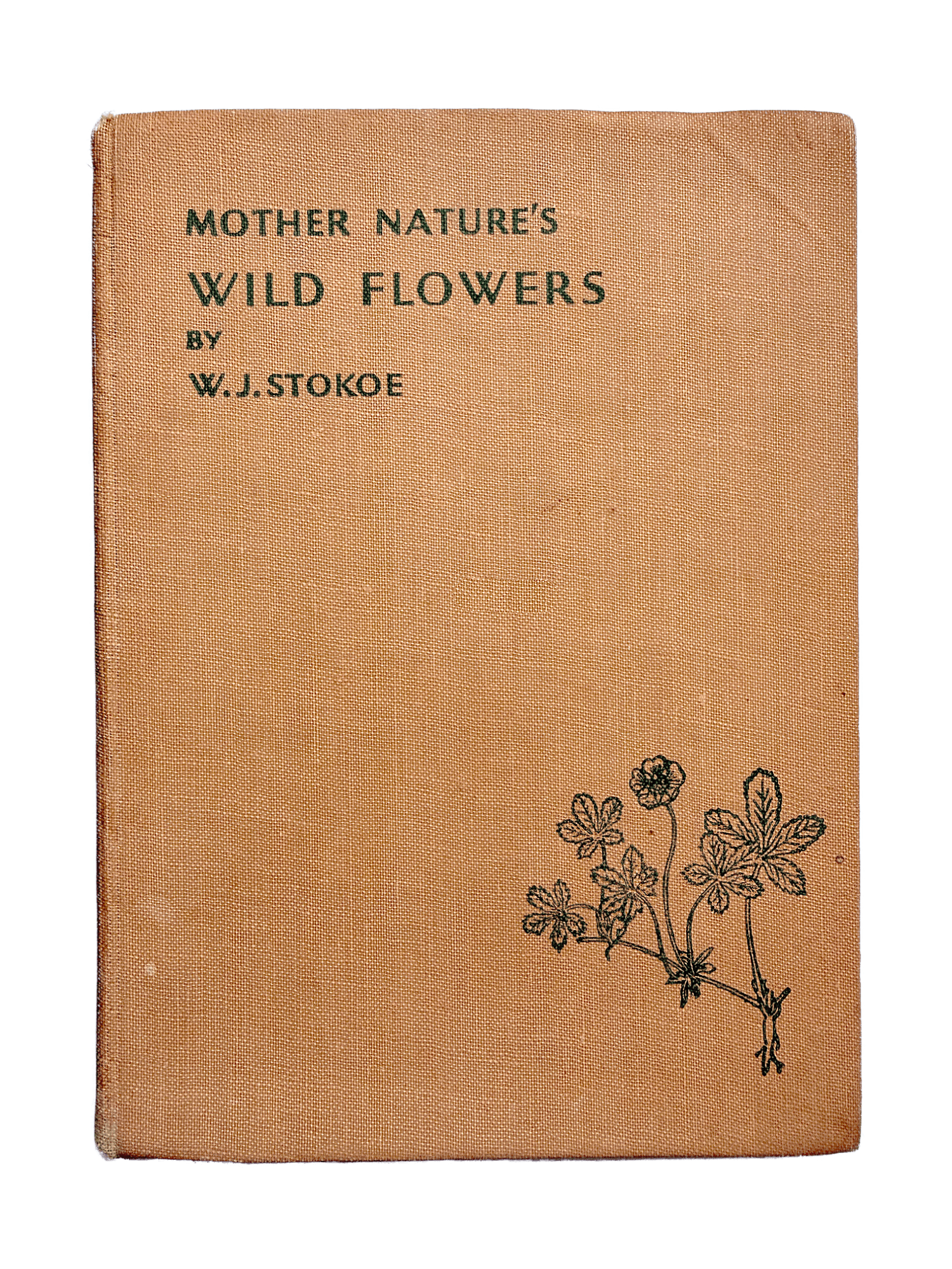MOTHER NATURE'S WILD FLOWERS