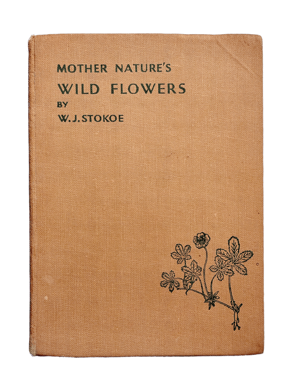 MOTHER NATURE'S WILD FLOWERS