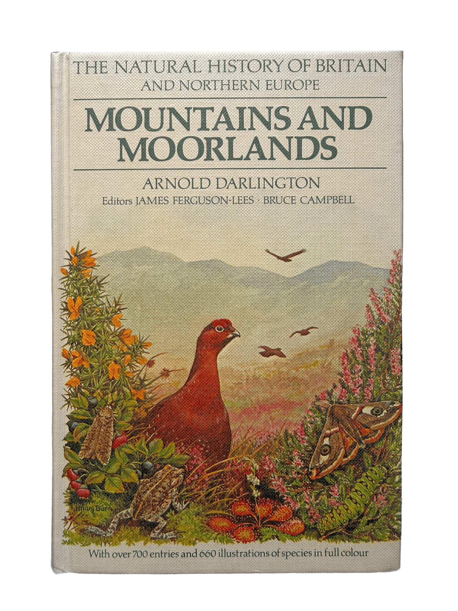 MOUNTAINS AND MOORLANDS