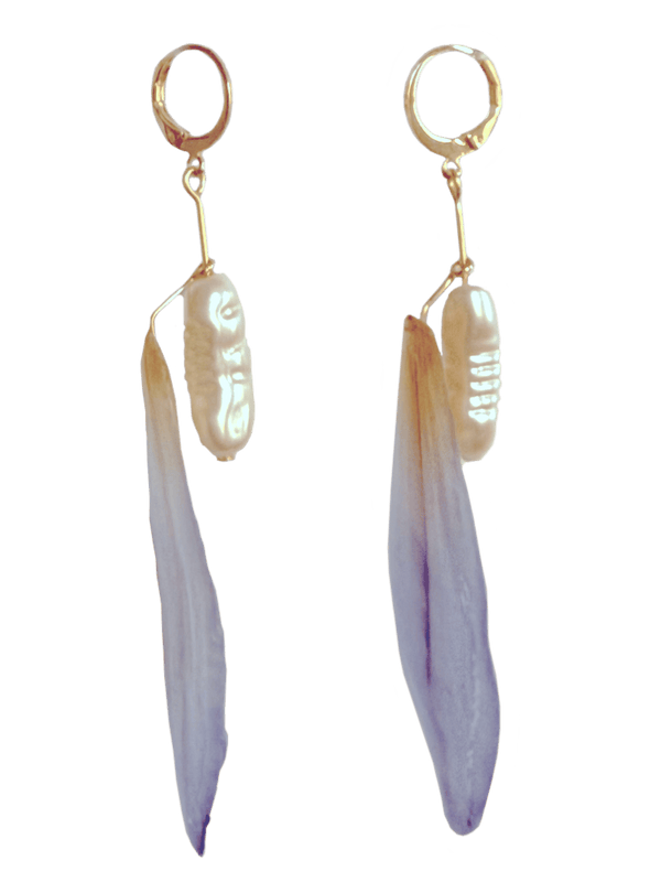 OFELIA Nº109