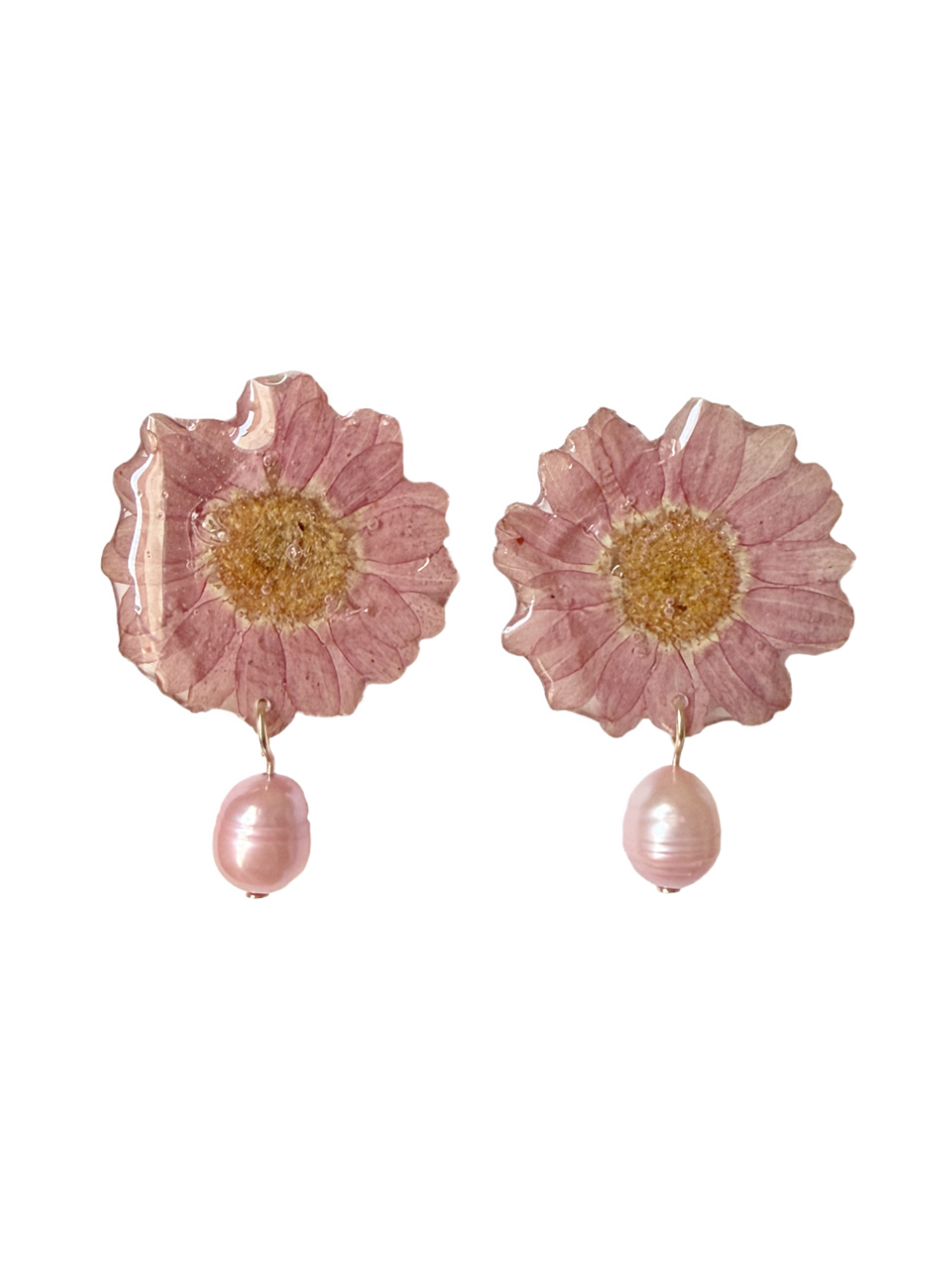 OFELIA Nº118