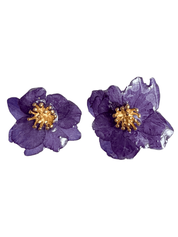 OFELIA nº99