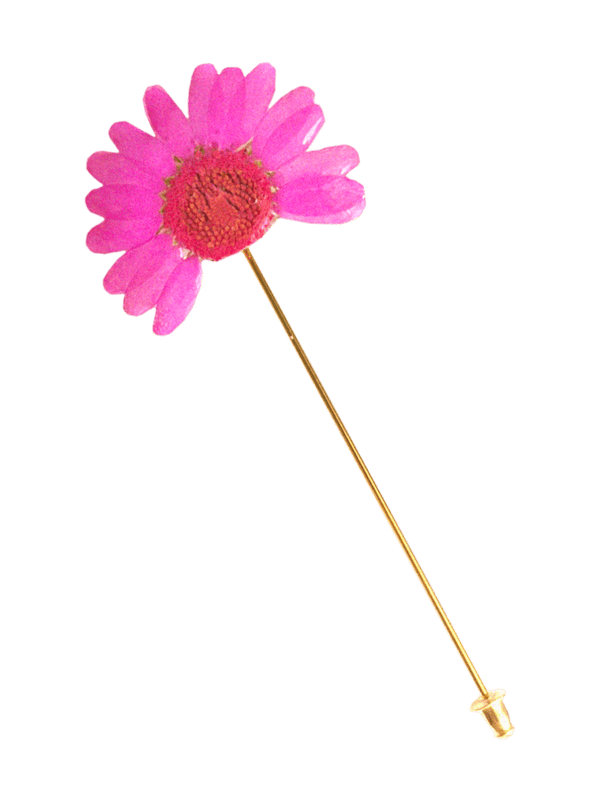 LAPEL PIN #001 élida c. 