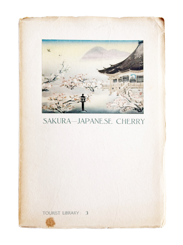 Sakura - Japanese Cherry