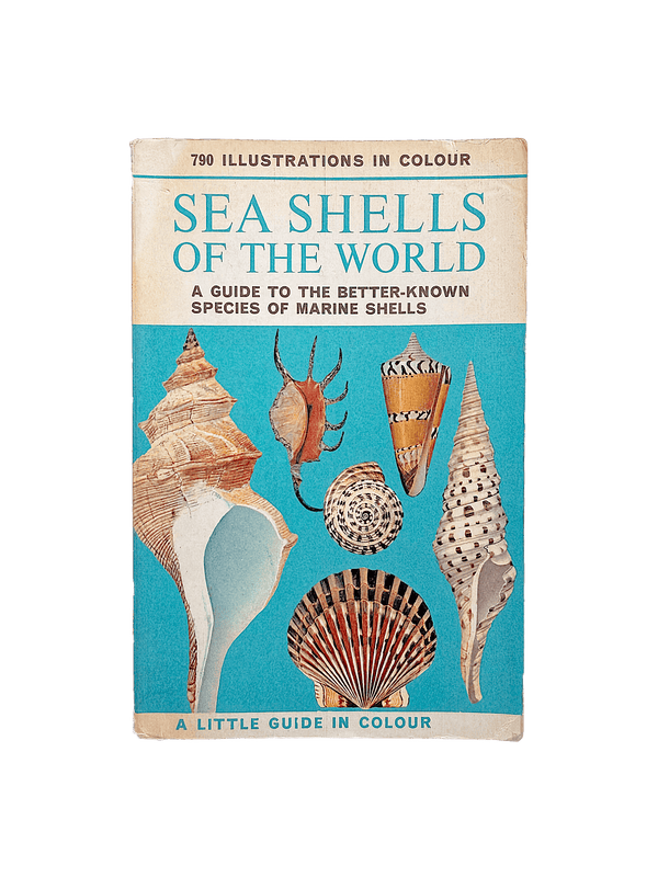 SEA SHELLS OF THE WORLD