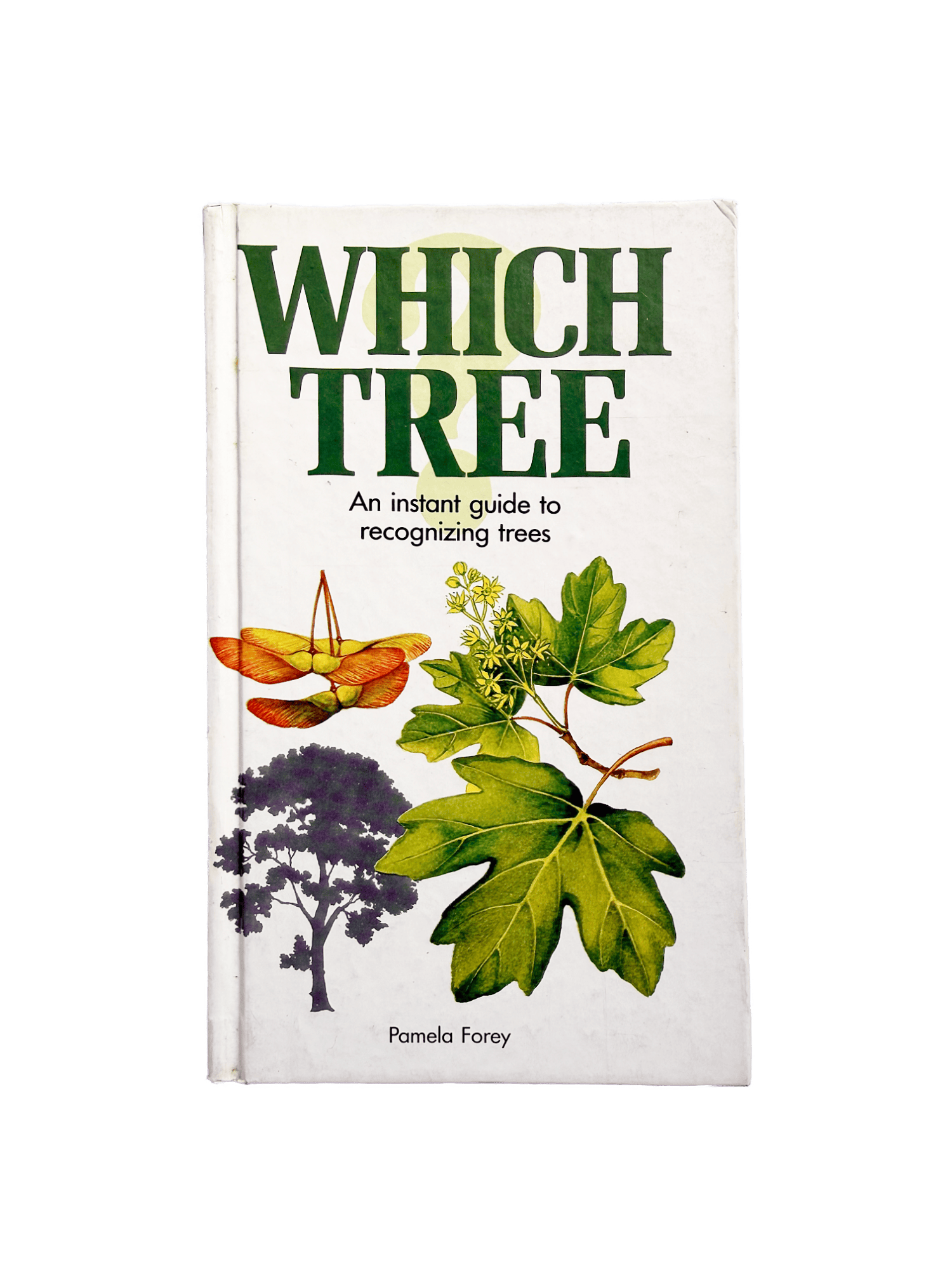 WHICH TREE