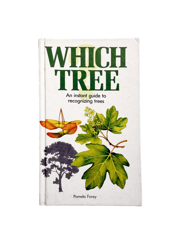 WHICH TREE