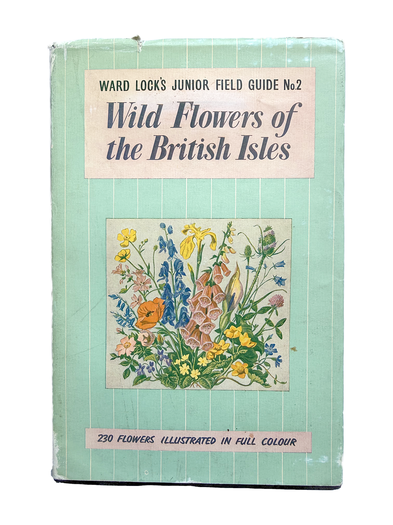 WILD FLOWERS OF THE BRITISH ISLES