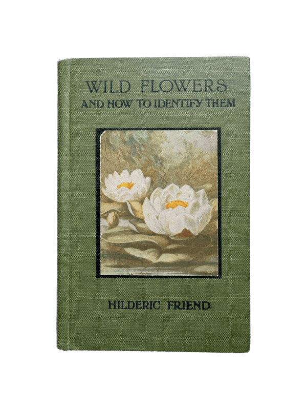 WILD FLOWERS AND HOW TO IDENTIFY THEM