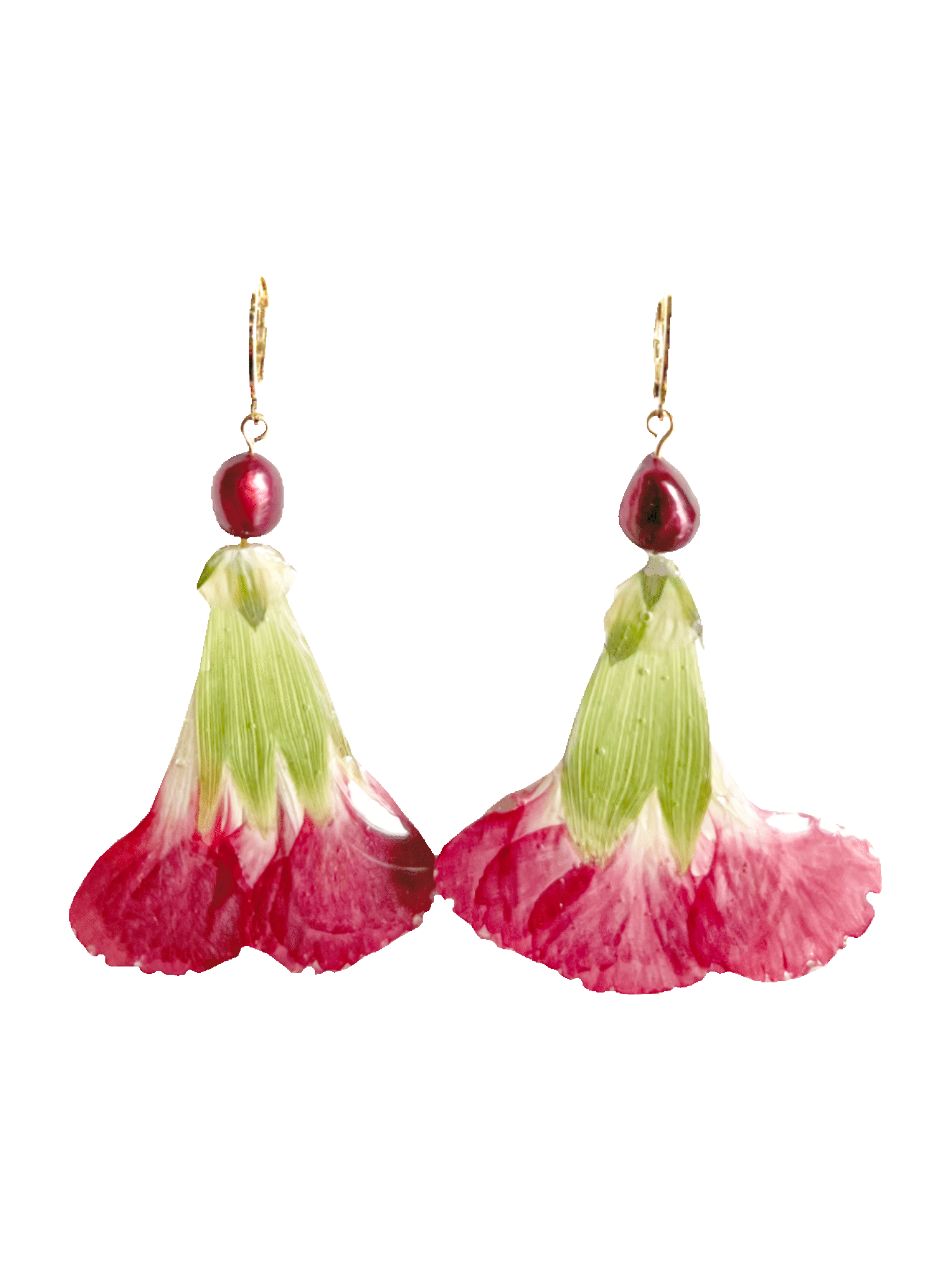 OFELIA nº83