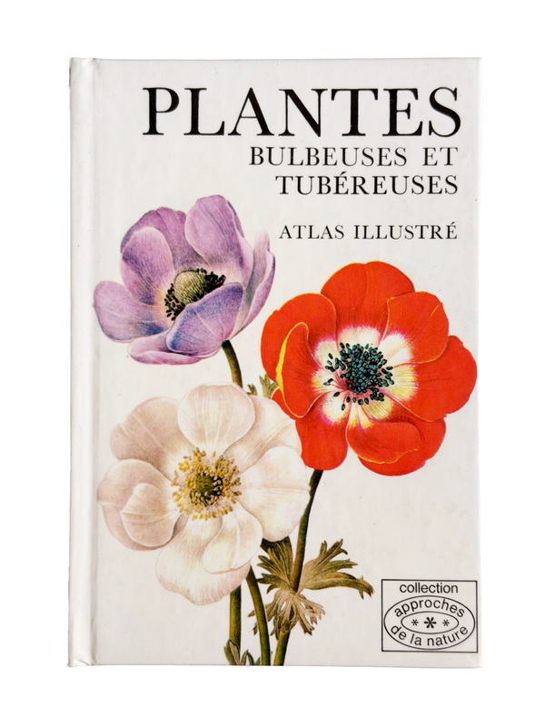 Plantes bulbeuses et tubéreuses