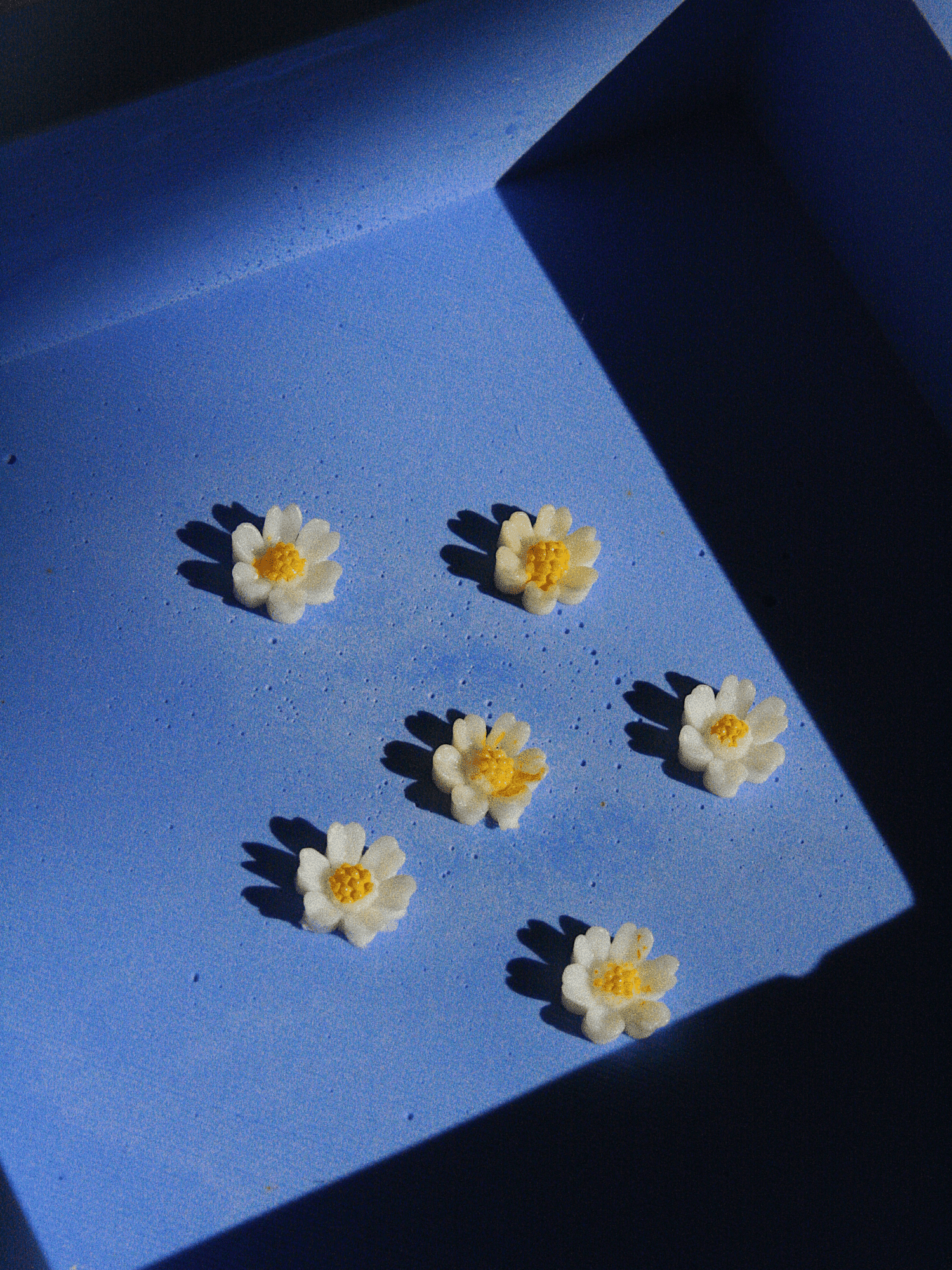 EVIE nº21 Earrings élida c. 